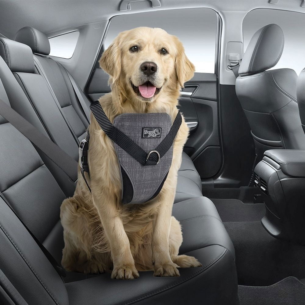 All For Paws Dog Bilsele, justerbar sele med bältesfäste för bilen