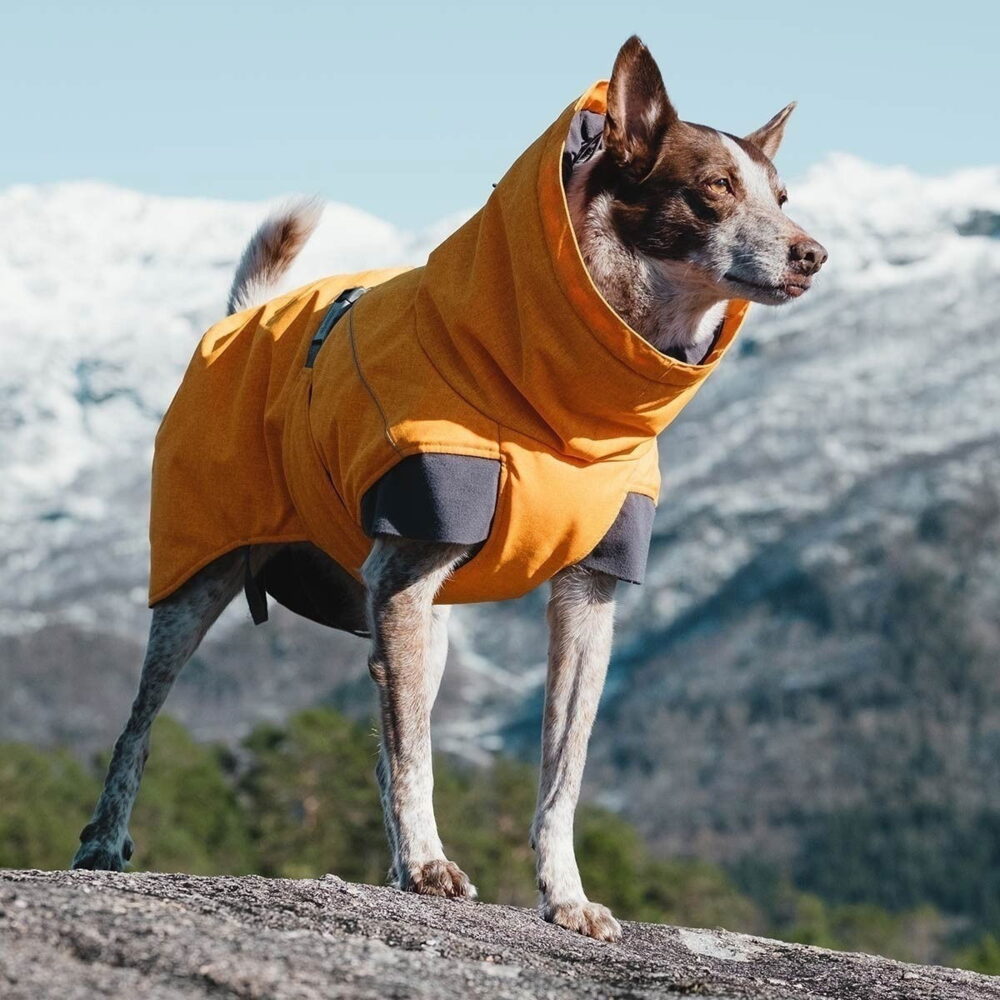 Hurtta Expedition Parka Vintertäcke i orange, jacka för korthårig hund