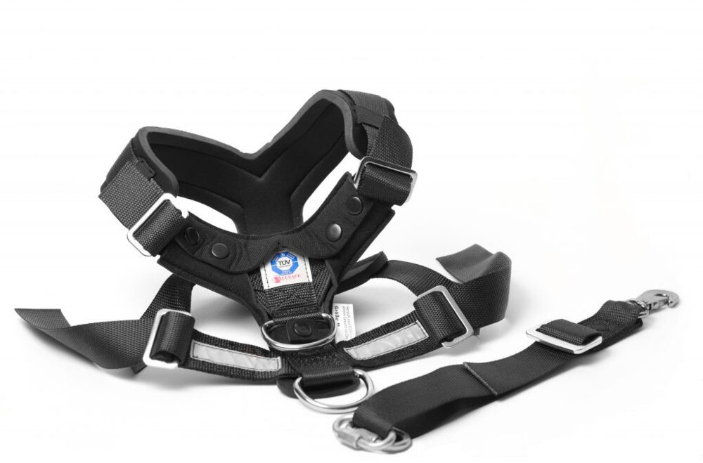 MIMsafe AllSafe Harness, vadderad bilsele för hund som fästs i bilbältet