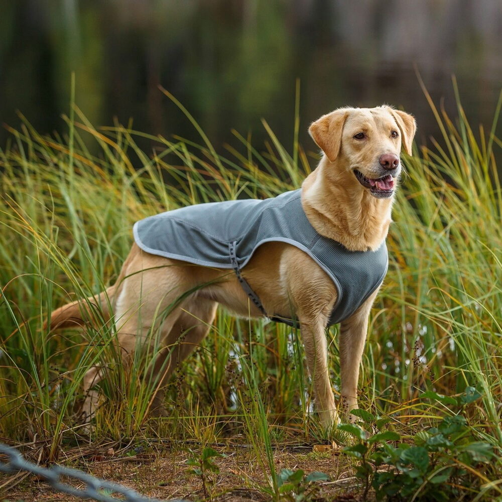 Rukka Kylväst Grå, grå kylväst till hund med reflexdetaljer