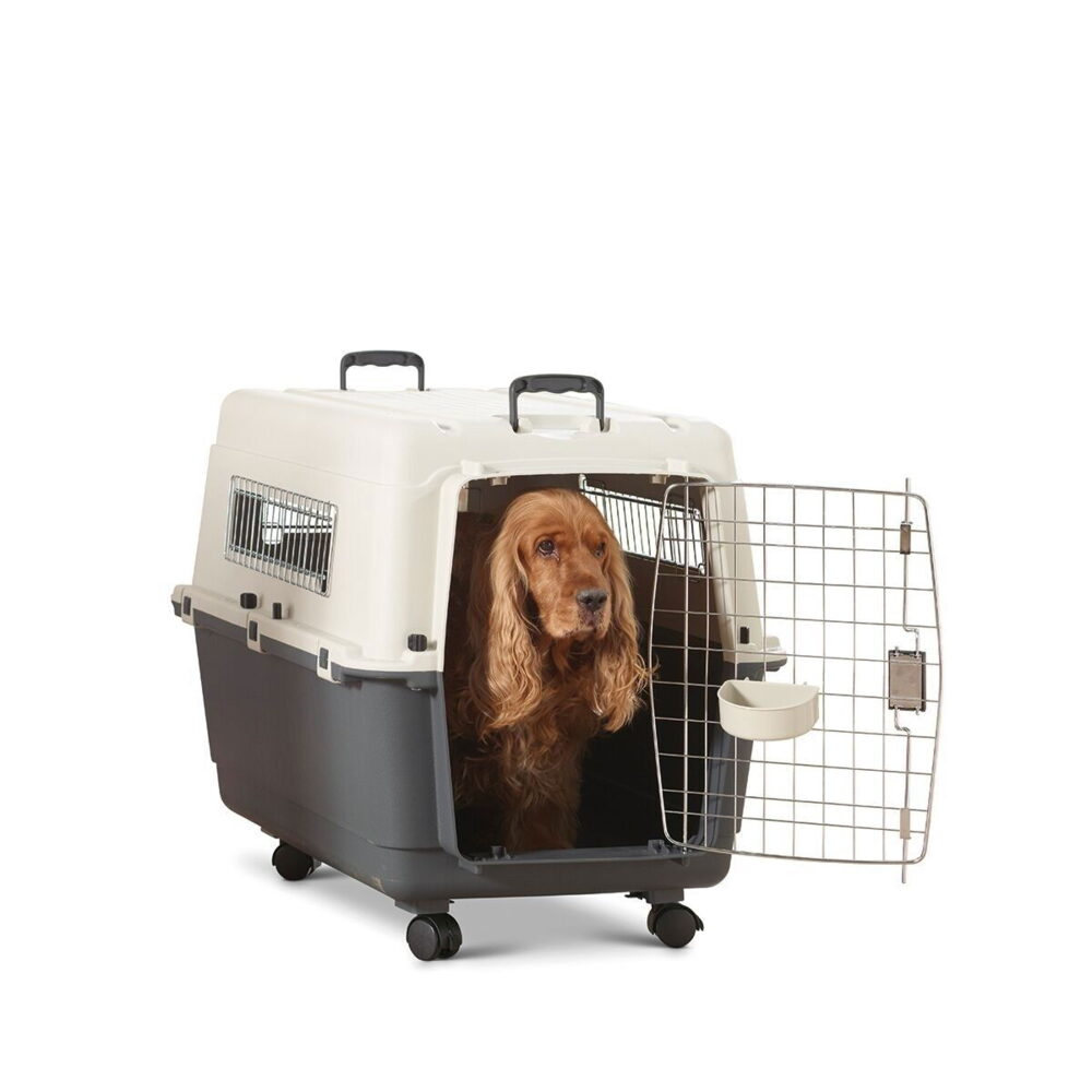 Savic Andes, grå IATA-godkänd flygbur för mellanstor hund