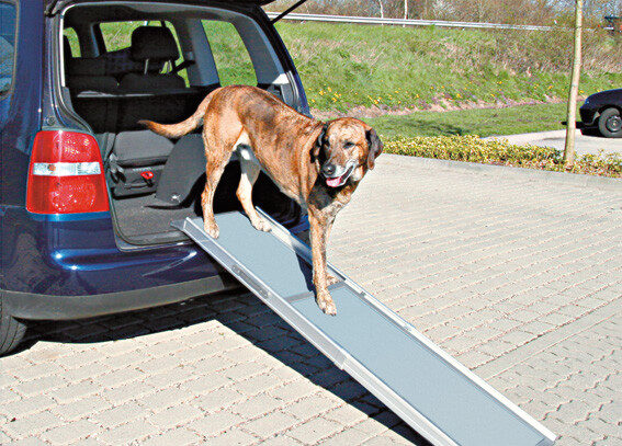 Trixie Teleskopisk Ramp i aluminium, utdragen till full längd